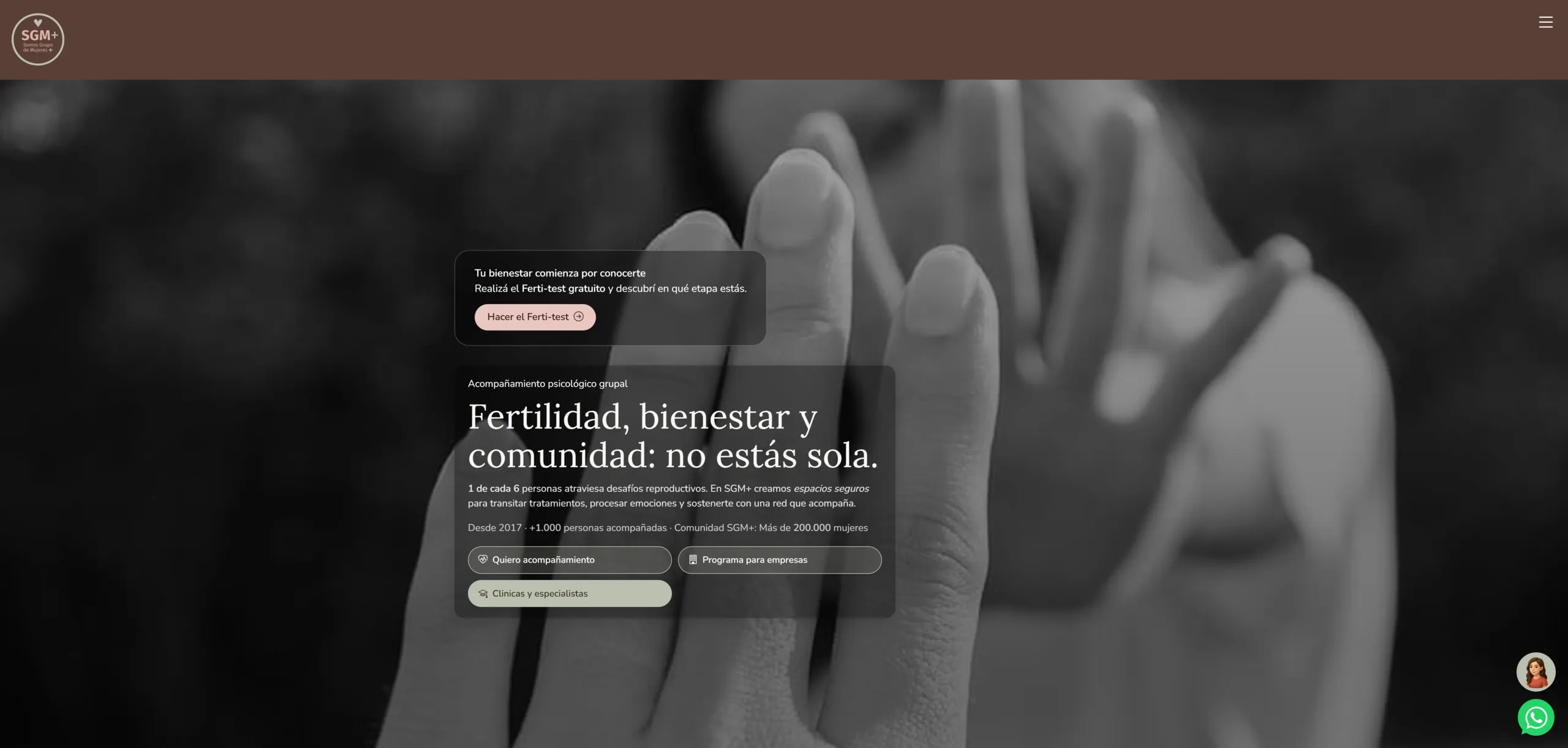 SGM+ — sitio web
